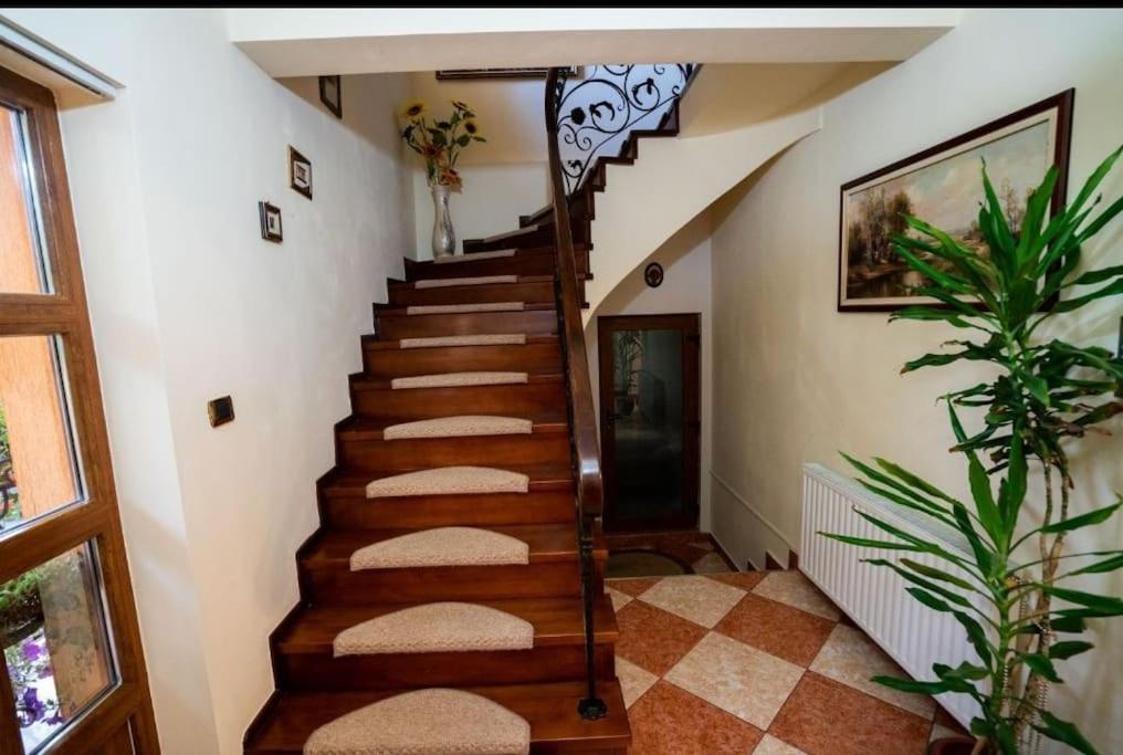 Villa Casa Mona à Oradea Extérieur photo
