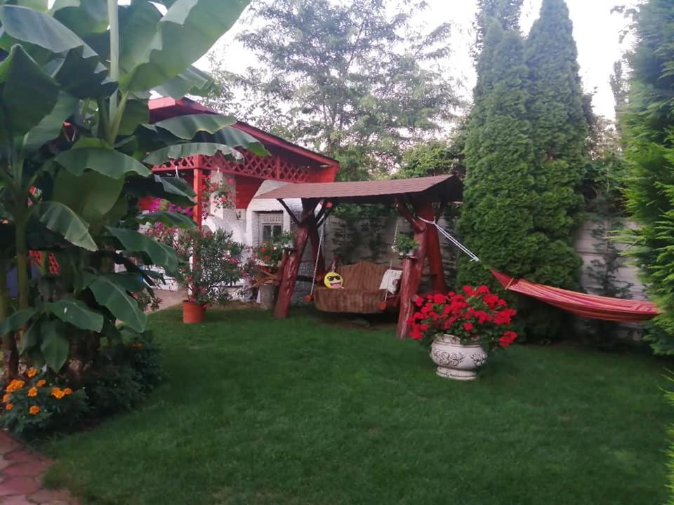 Villa Casa Mona à Oradea Extérieur photo