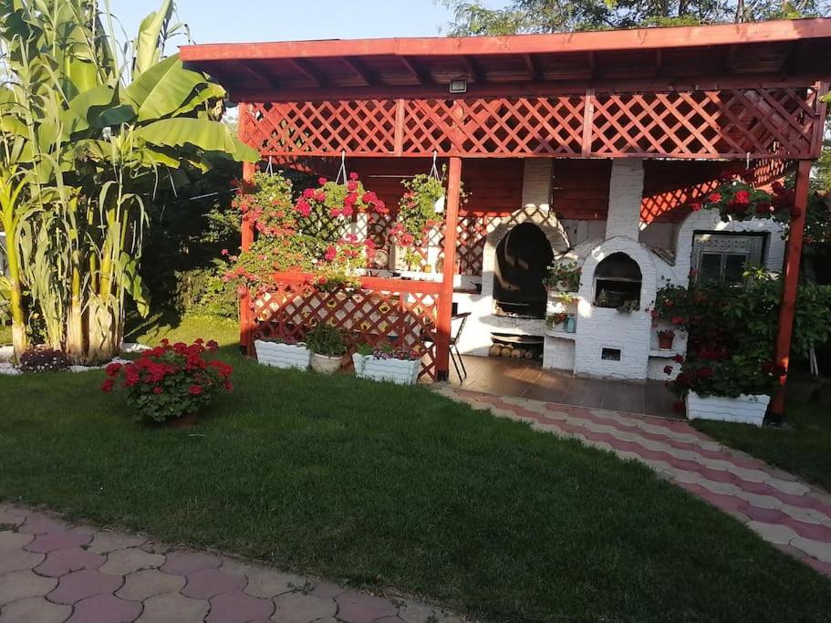 Villa Casa Mona à Oradea Extérieur photo